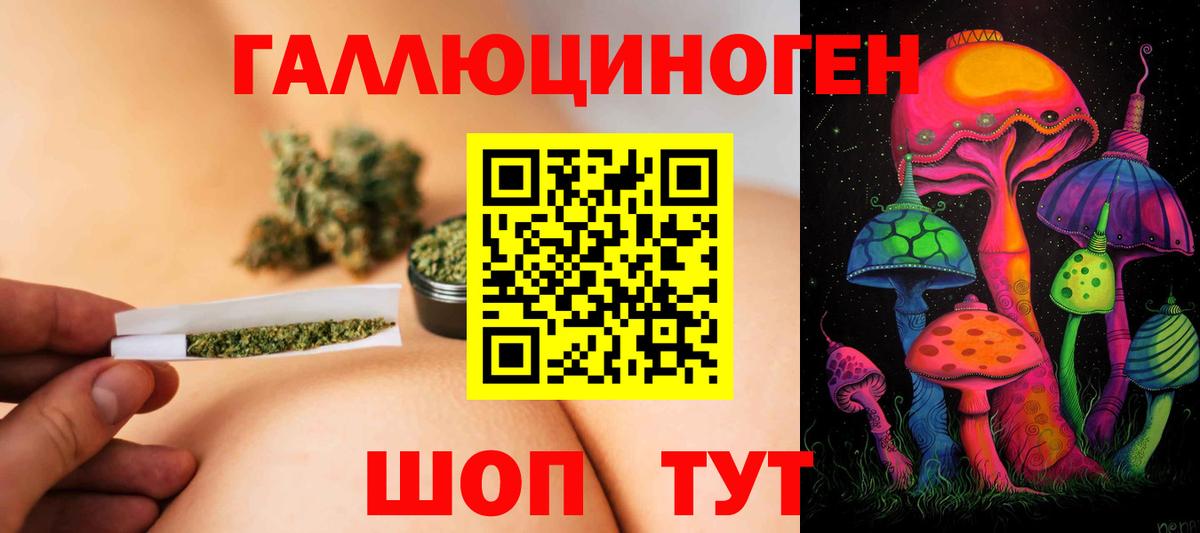 Химки  Псилоцибиновые грибы ЛСД  Вход с VPN  Галлюциногенные грибы Psilocybine cubensis 