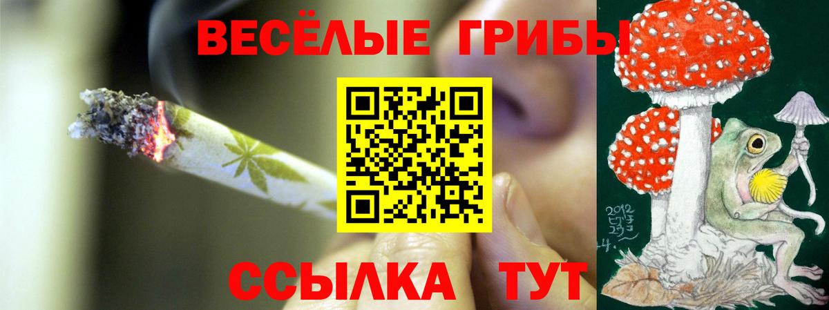 Псилоцибиновые грибы Psilocybine cubensis Химки